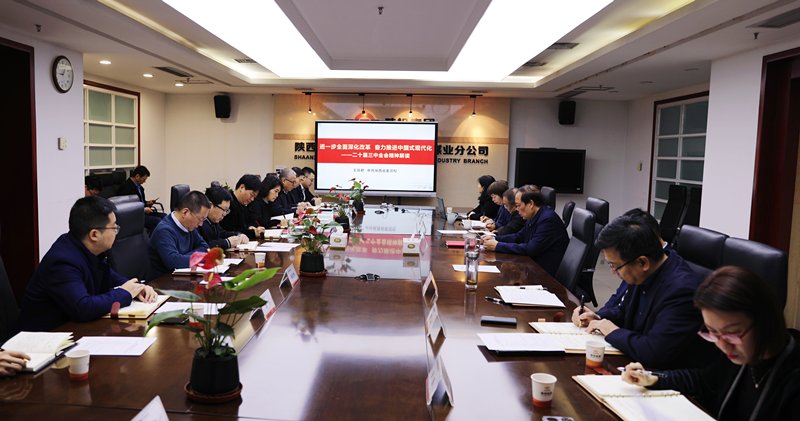 陕西能源组织召开2024年第11次澳