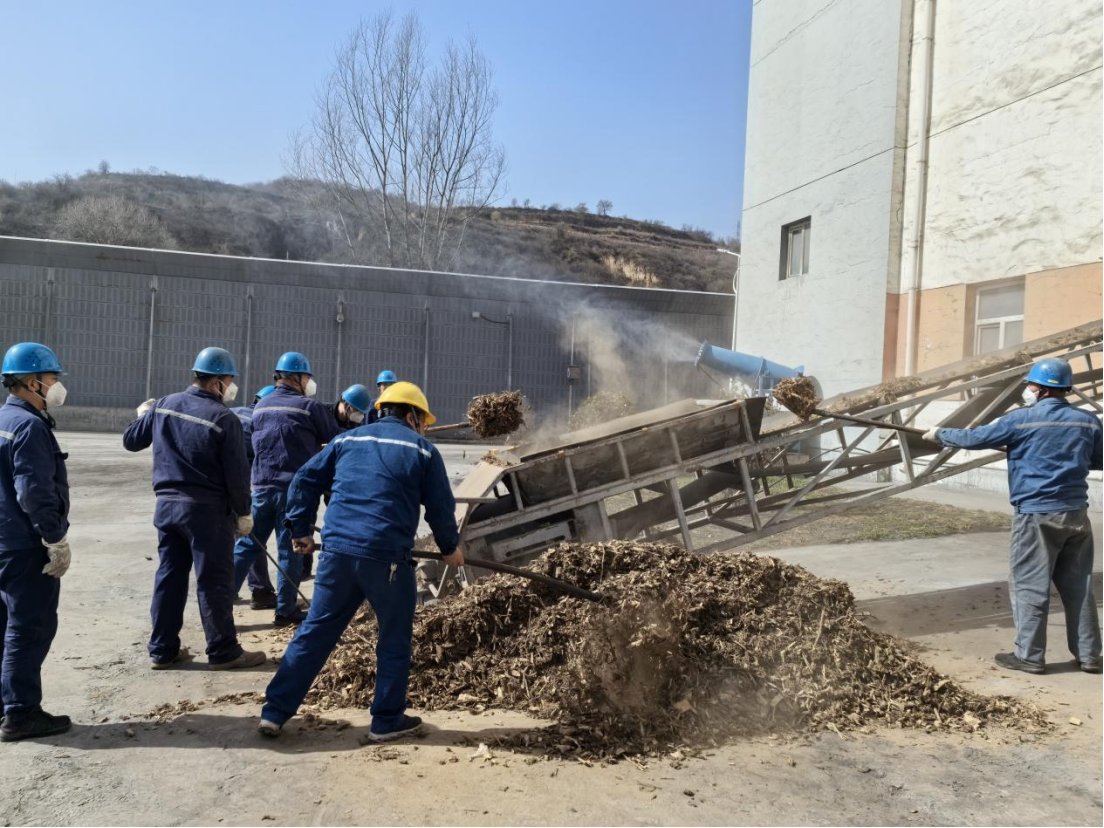 探索清洁能源替代新路径