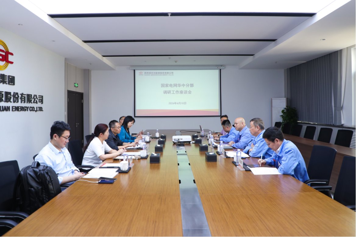 国网华中分部到清水川能源调研指导工作